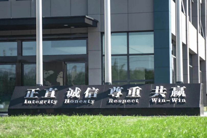 Видения Wolfking