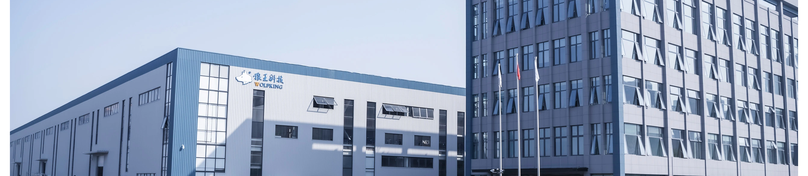 Wolfking Компания